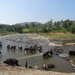 3E Pinnawala,  olifanten weeshuis _DSC00415