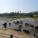 3E Pinnawala,  olifanten weeshuis _DSC00416