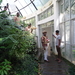 3F Peradeniya, botanische tuinen _DSC00555