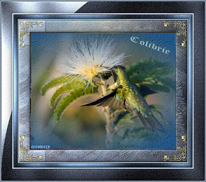 colibrie createrry