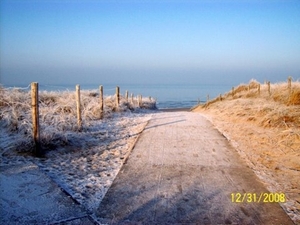 kerst 2008 068 de duinen van Petten