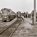 Spijkenisse 18-mei-1959. De gereserveerde M1804 Kievit maakt onge