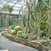 4a Museumcomplex Dahlem _botanischer-garten _Cactus Pavilion.