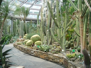 4a Museumcomplex Dahlem _botanischer-garten _Cactus Pavilion.