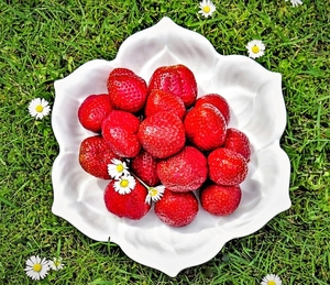 strawberries-5254237_960_720