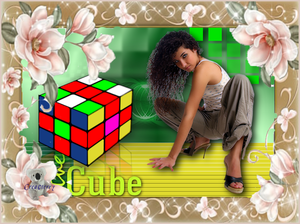 een cube van terry