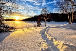 winter-landscape-636634_960_720
