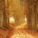 autumn-mood-2075302_960_720