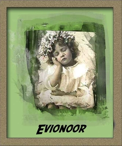 Evionoor 3