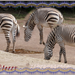 zebrapaarden