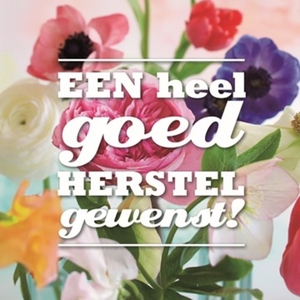 een+heel+goed+herstel+gewenst