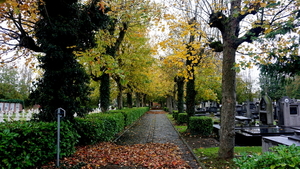 Roeselare,Blekerijstr,oude Begraafplaats,8-11-2020