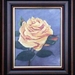 gele roos  24 x 30   1995-1