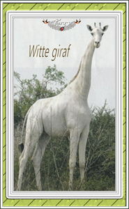enige witte giraf