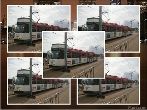 Trams België