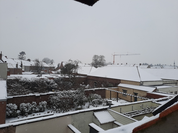 Roeselare-Sneeuw--16-01-2021-1