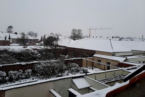 Roeselare-Sneeuw--16-01-2021-2