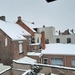 Roeselare-Sneeuw--16-01-2021-3