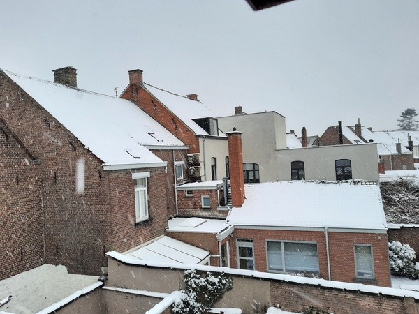 Roeselare-Sneeuw--16-01-2021-3