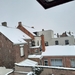 Roeselare-Sneeuw--16-01-2021-4