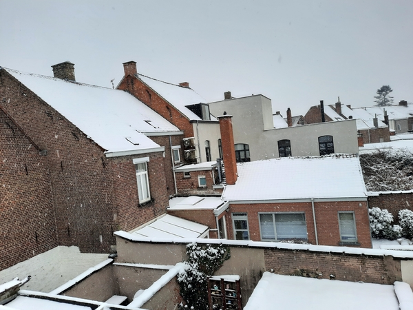 Roeselare-Sneeuw--16-01-2021-5