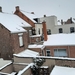 Roeselare-Sneeuw--16-01-2021-6