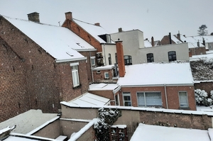 Roeselare-Sneeuw--16-01-2021-6