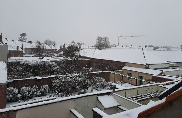 Roeselare-Sneeuw--16-01-2021-7