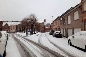 Roeselare-Sneeuw--16-01-2021-11