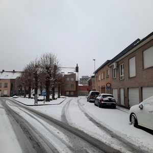 Roeselare-Sneeuw--16-01-2021-12