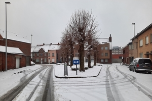 Roeselare-Sneeuw--16-01-2021-17