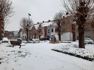 Roeselare-Sneeuw--16-01-2021-18