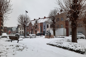 Roeselare-Sneeuw--16-01-2021-19