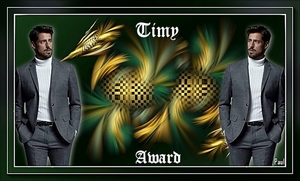 award van paul voor timy