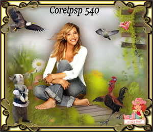 corelpsp 540 timy1