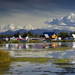 alaska-reflectie-natuur-rivier-achtergrond