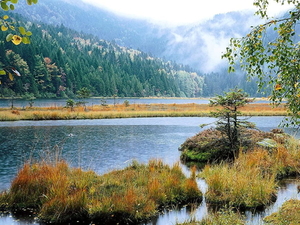 herfst-landschap-natuur-bergen-meer-achtergrond
