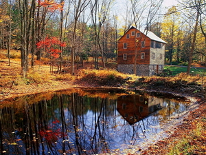herfst-landschap-reflectie-natuur-achtergrond