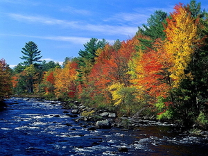 herfst-natuur-rivier-esdoorn-achtergrond