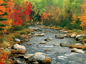 herfst-stroom-natuur-bergrivier-achtergrond