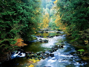 natuur-stroom-bergrivier-rivier-achtergrond