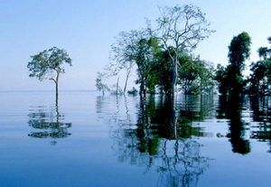 natuur-voor-dubbele-monitoren-reflectie-bayou-achtergrond