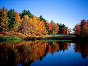 reflectie-natuur-herfst-meer-achtergrond