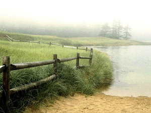 rivier-natuur-mist-meer-achtergrond