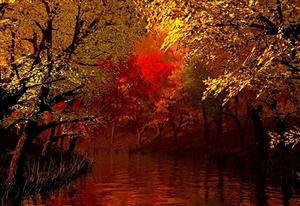 rivier-natuur-reflectie-rode-achtergrond