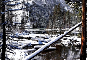 rivier-sneeuw-winter-woud-achtergrond