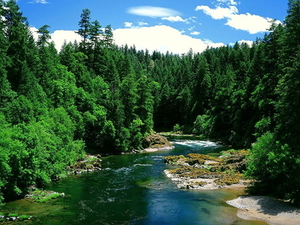 woud-natuur-rivier-bergen-achtergrond