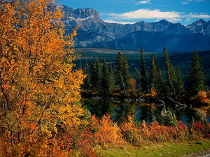 herfst-landschap-larix-lyalliisubalpine-lariks-natuur-bergen-acht