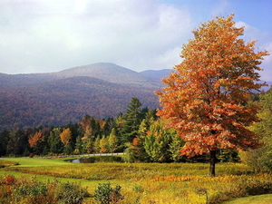 herfst-landschap-natuur-bergen-achtergrond