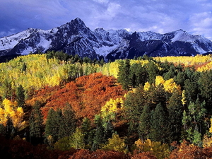 herfst-landschap-natuur-larix-lyalliisubalpine-lariks-bergen-acht